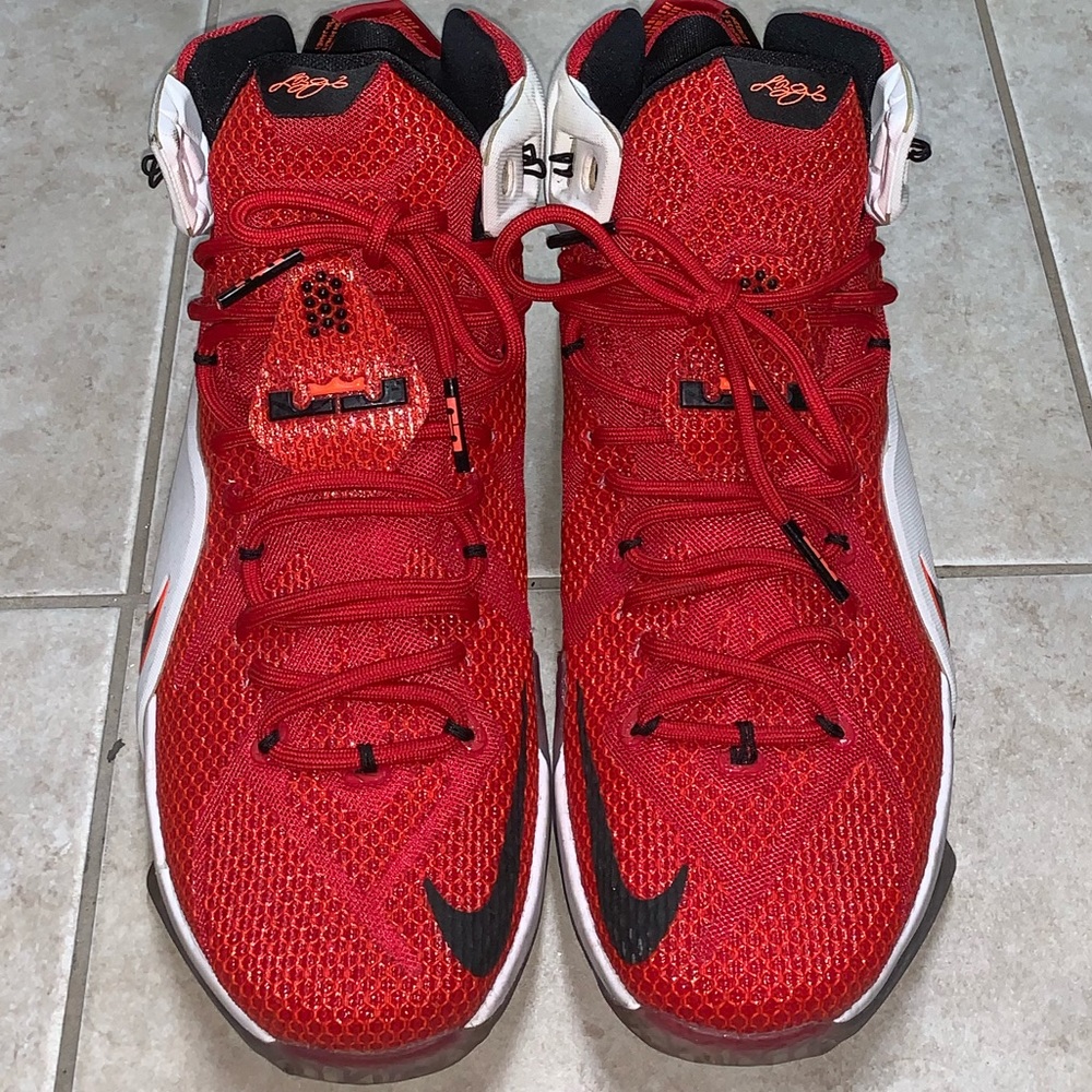 Nike Lebron 12 "Heart Of A Lion" Size 10 View 2